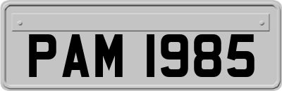 PAM1985