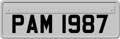 PAM1987