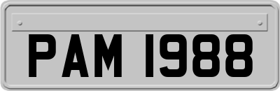 PAM1988