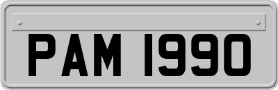 PAM1990