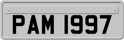 PAM1997