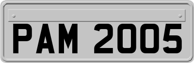 PAM2005