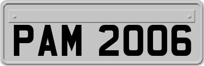 PAM2006