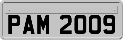 PAM2009