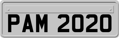 PAM2020