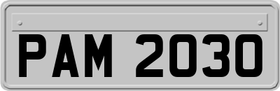 PAM2030
