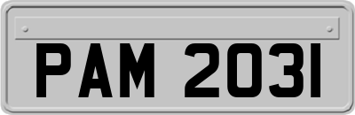 PAM2031