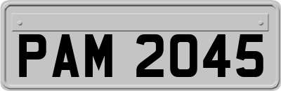 PAM2045