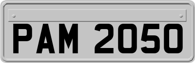 PAM2050