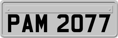 PAM2077