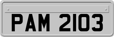 PAM2103