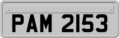 PAM2153