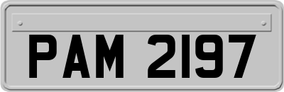PAM2197