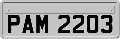 PAM2203
