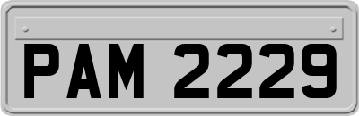 PAM2229