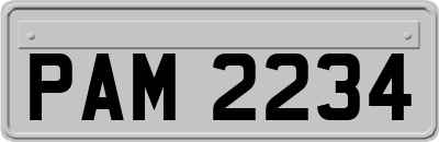 PAM2234