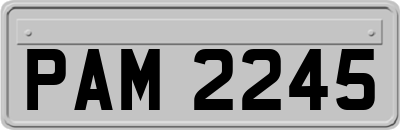 PAM2245