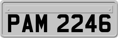 PAM2246
