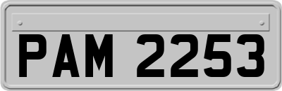 PAM2253