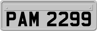 PAM2299