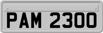 PAM2300