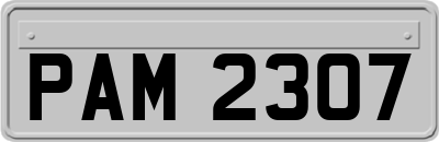 PAM2307