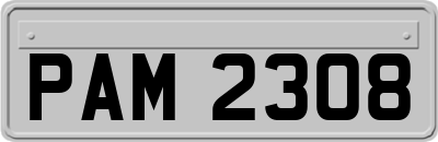 PAM2308