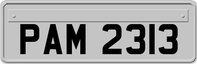 PAM2313