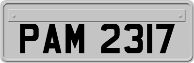 PAM2317