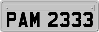 PAM2333