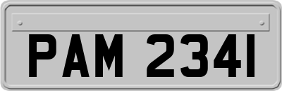 PAM2341