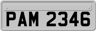 PAM2346