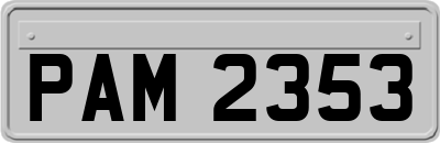 PAM2353