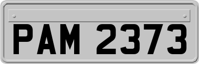 PAM2373