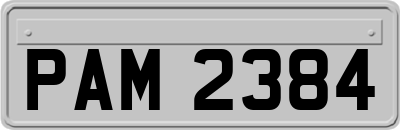 PAM2384