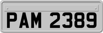 PAM2389