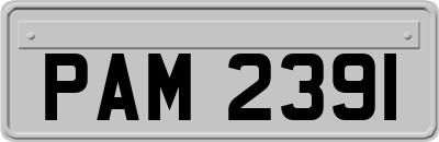 PAM2391