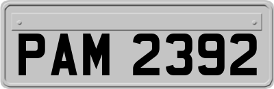 PAM2392