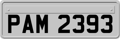 PAM2393