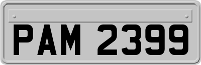 PAM2399