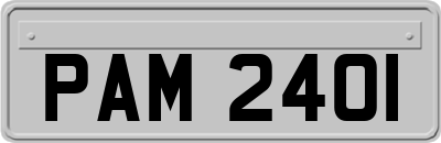 PAM2401
