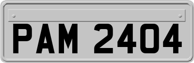 PAM2404