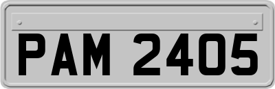 PAM2405