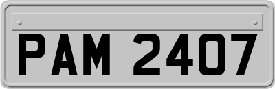 PAM2407