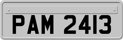 PAM2413