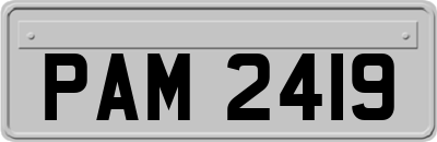 PAM2419