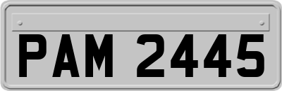 PAM2445