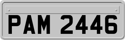 PAM2446
