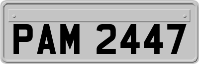 PAM2447