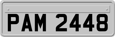 PAM2448